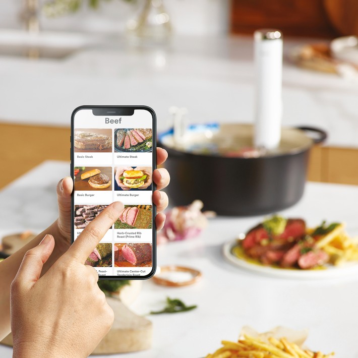 Breville Joule Turbo Sous Vide Cooker | Williams Sonoma