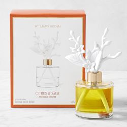 Home Fragrance Citrus & Sage Porcelain Diffuser
