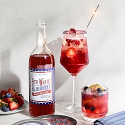 Williams Sonoma Red, White, &amp; Blueberry Beverage Mixer