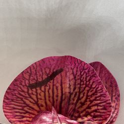 OPEN BOX: Faux Orchids in Planter, 23"