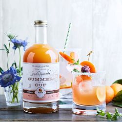 Trisha Yearwood x Williams Sonoma Summer Cocktail Collection