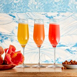 Open Kitchen by Williams Sonoma Champagne Flutes