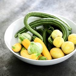 Open Kitchen by Williams Sonoma Serving Bowls