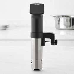Anova Precision® Pro Sous Vide Cooker with Wi-Fi