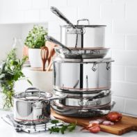 Stainless Steel All-Clad | Williams Sonoma