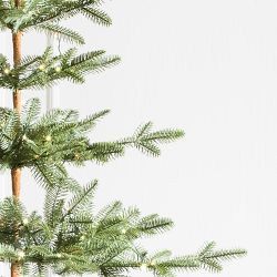 Balsam Hill Most Realistic Alpine Balsam Fir Faux Tree
