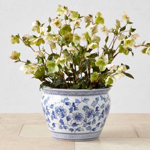 Blue & White Ceramic Planter, Large | Williams Sonoma