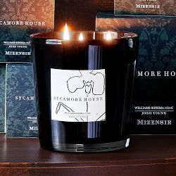 Josh Young x Williams Sonoma Home Sycamore House Candle