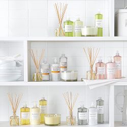 Williams Sonoma French Lavender Hand Lotion