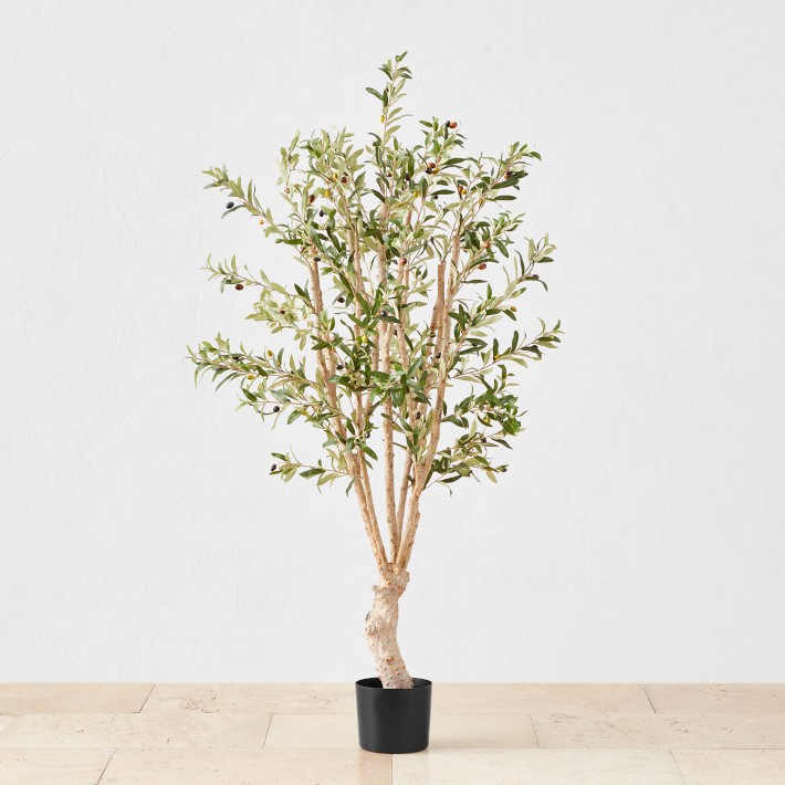 Faux Indoor Silk Olive Tree, 1,300 Leaves, 60