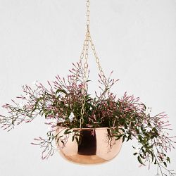 Hanging Copper Planter