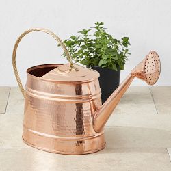 Williams Sonoma Copper Extra Large Watering Can