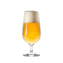 Williams Sonoma Pilsner Beer Glasses, Set of 4