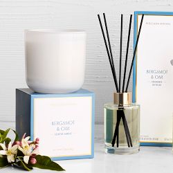 Home Fragrance Bergamot &amp; Oak Collection