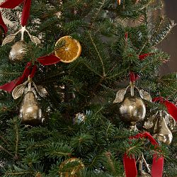 Josh Young x Williams Sonoma Home Fruit Ornaments, Set of 3