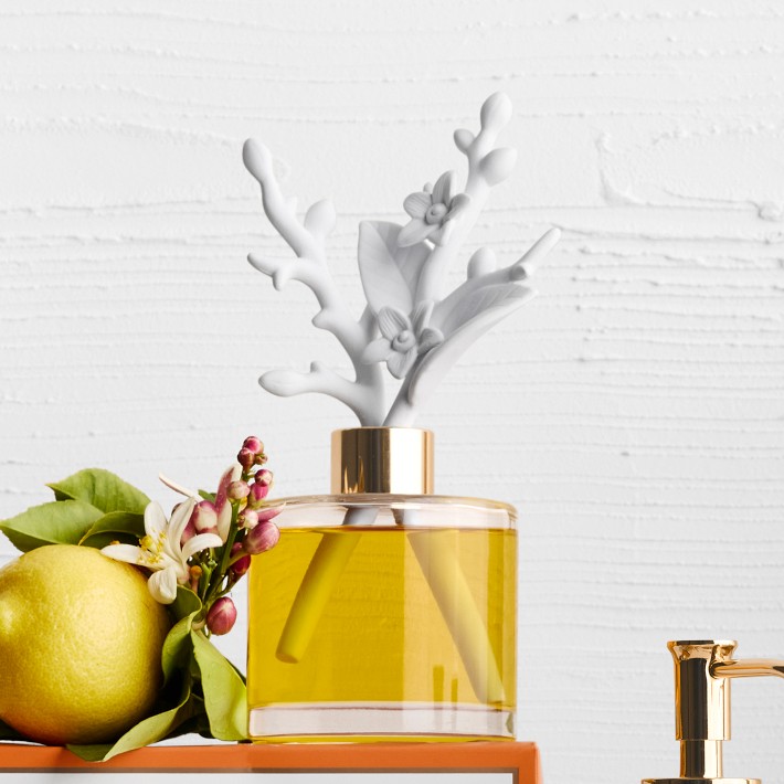 home-fragrance-citrus-sage-