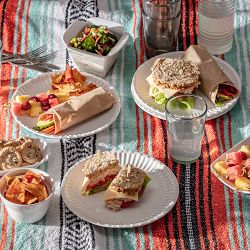 Fortessa Paper Melamine Dinner Plates, Set of 6