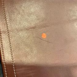 OPEN BOX: Directors Chair, Mahogony, Camel Leather