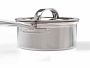Video 2 for Williams Sonoma Signature Thermo-Clad™ Copper Pro Saucepan