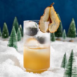 Holiday Highball Cocktail Gift Set