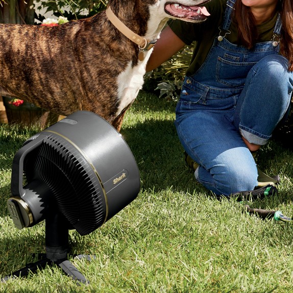 Shark FlexBreeze Fan With InstaCool Mist | Williams Sonoma