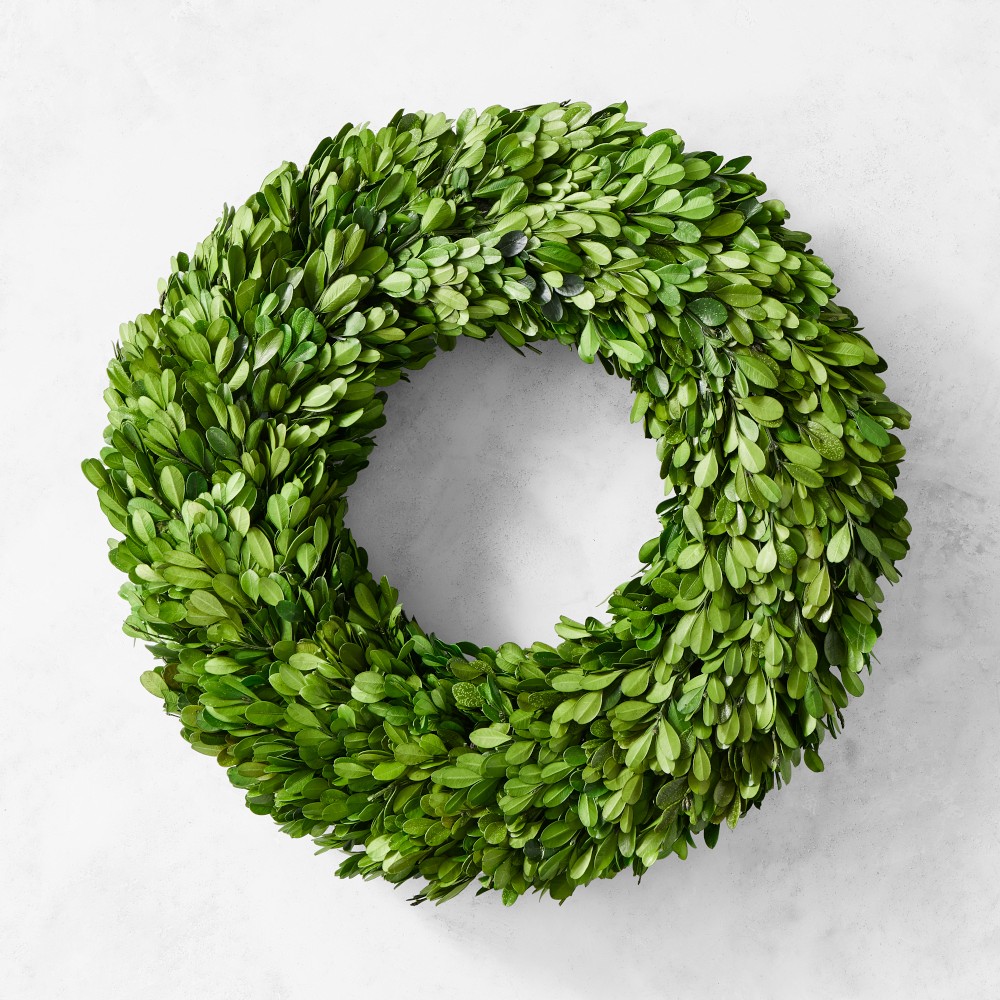 Preserved Boxwood Wreath - 16"