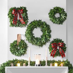 Bay Leaf Square Live Wreath with Tartan Ribbon, 16"