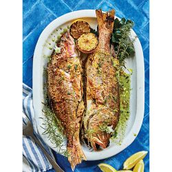 Kelsey Barnard Clark: The Flavor of Fire: Recipes for Grilling &amp; Smoking with Southern Flair