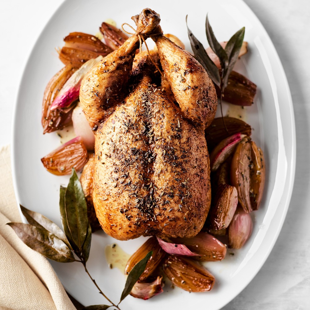 Pillivuyt Coupe Porcelain Platter by Williams Sonoma Home