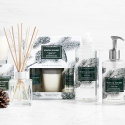 Williams Sonoma Winter Forest Guest Set