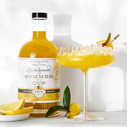 Williams Sonoma Reserve Optic Coupe Glasses