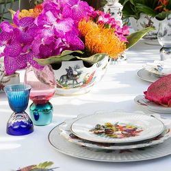 Christian Lacroix Caribe Dinner Plates, Set of 4