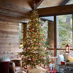 Balsam Hill Most Realistic Aspen Silver Fir reNew Faux Tree