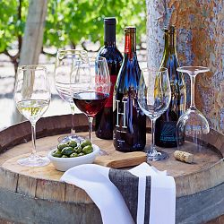 Open Kitchen by Williams Sonoma Glassware Collection