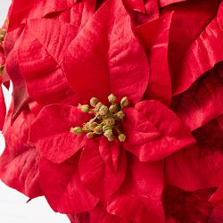 Jeff Leatham x Williams Sonoma Faux Holiday Red Poinsettia