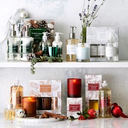 Williams Sonoma Winter Berry Fragrance Diffuser, 4.7oz
