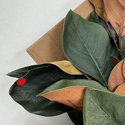 OPEN BOX:Magnolia Garland, 5'