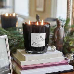 Josh Young x Williams Sonoma Home Sycamore House Candle