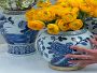 Video 1 for Ginger Jar With Figural Handle, Bird
