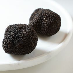 Black Summer Truffles