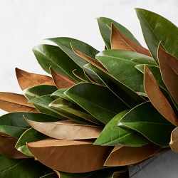 Magnolia Live Wreath &amp; Garland
