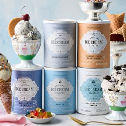 Williams Sonoma Ice Cream Starter, Blueberries &amp; Cream