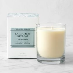 Williams Sonoma Rainforest Retreat 9 oz Candle