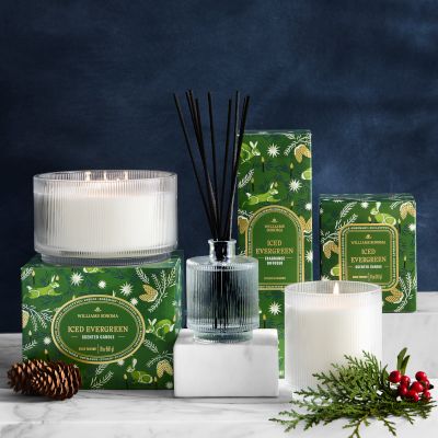 Dinnerware All Clearance | Williams Sonoma