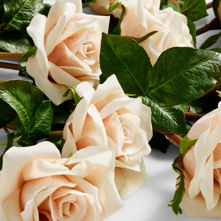 Jeff Leatham Faux Quicksand Rose Stems, Set of 12 | Williams Sonoma