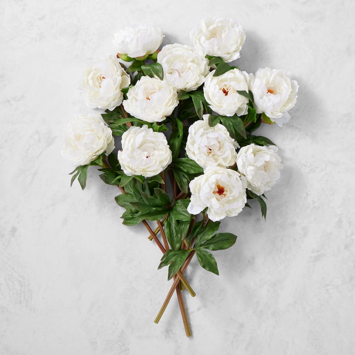 Jeff Leatham Faux White Peony Stems, Set of 12 | Williams Sonoma