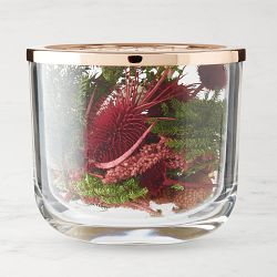 Home Fragrance Potpourri Jar, Jasmine & Yuzu