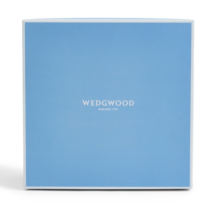 Wedgwood Wild Strawberry 5-Piece Set | Williams Sonoma