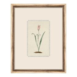 Botanist Textile 1