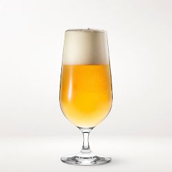 Williams Sonoma Pilsner Beer Glasses, Set of 4